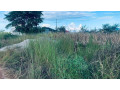 30m-by-20m-plot-for-sale-in-meanwood-ndeke-small-0