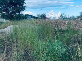 30m-by-20m-plot-for-sale-in-meanwood-ndeke