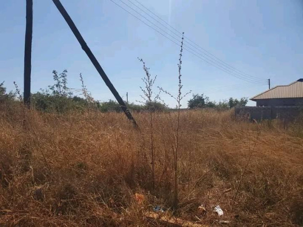 prime-plot-for-sale-in-libala-south-big-1