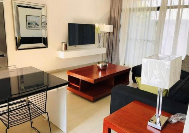 2-bedroom-apartments-for-rent-in-roma-park-big-4