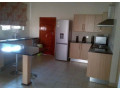 2-bedroom-apartment-for-rent-in-roma-park-small-4