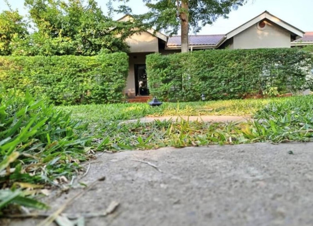 2-bedroom-flat-for-rent-in-ibex-hill-big-0