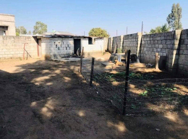 3-bedroom-house-for-rent-in-meanwood-chamba-valley-big-9