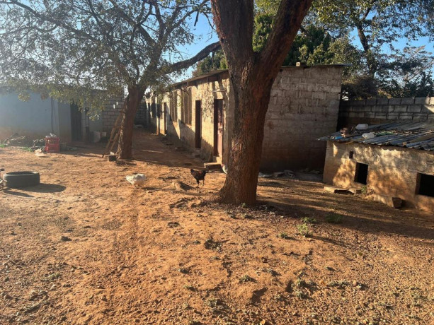 3-bedroom-house-for-sale-in-chamba-valley-big-6