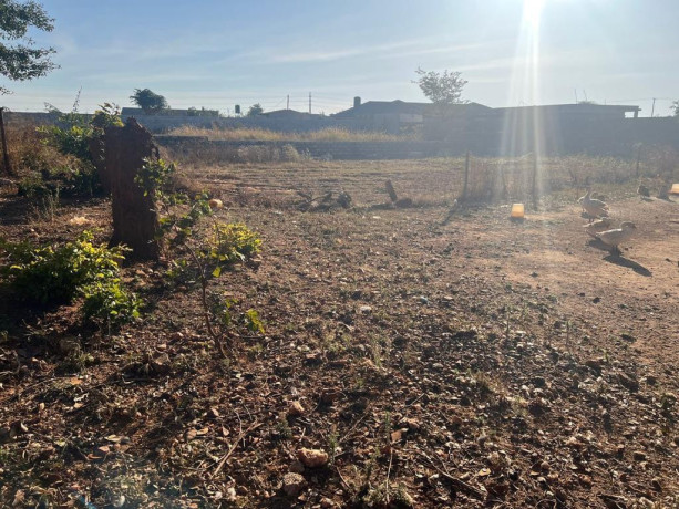 3-bedroom-house-for-sale-in-chamba-valley-big-7