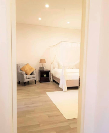 2-bedroom-apartment-for-rent-in-roma-park-big-2