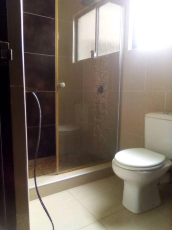 3-bedroom-house-for-rent-in-new-kasama-big-7