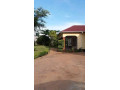 neat-and-modern-3-bedroom-house-in-woodlands-chalala-small-1