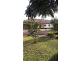 neat-and-modern-3-bedroom-house-in-woodlands-chalala-small-3