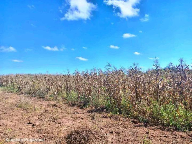 spacious-5-acre-plot-in-meanwood-nkosi-big-4