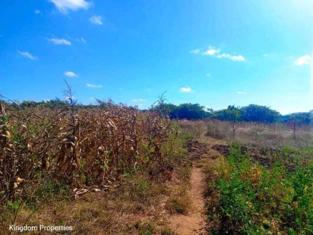 spacious-5-acre-plot-in-meanwood-nkosi-big-2