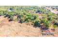 2-acre-plot-for-sale-in-new-kasama-small-2