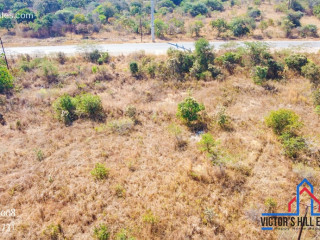 2-acre-plot-for-sale-in-new-kasama