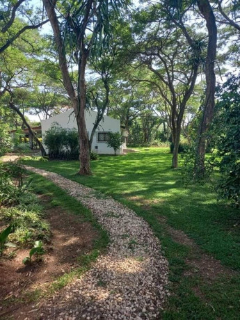 5-acres-land-for-sale-in-eureka-park-big-2