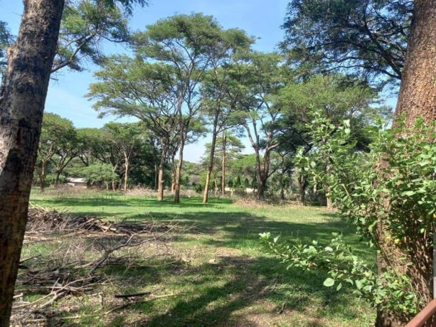 5-acres-land-for-sale-in-eureka-park-big-6