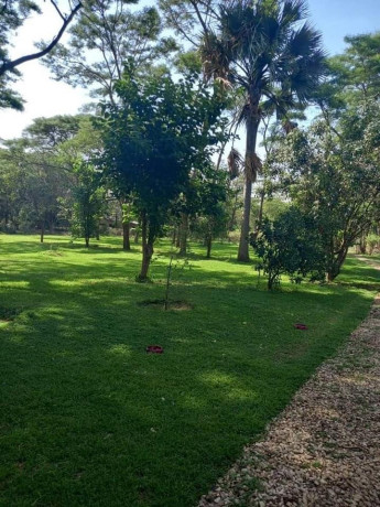 5-acres-land-for-sale-in-eureka-park-big-7