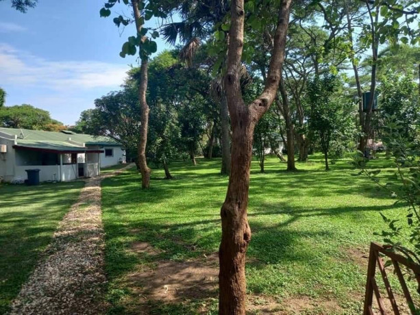 5-acres-land-for-sale-in-eureka-park-big-0