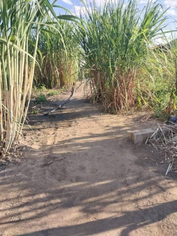 45-acre-plot-for-sale-in-leopards-hill-big-7