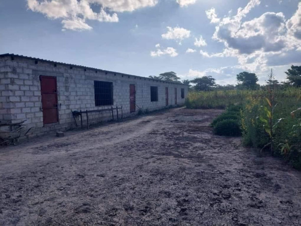 45-acre-plot-for-sale-in-leopards-hill-big-3