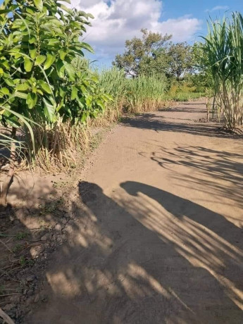 45-acre-plot-for-sale-in-leopards-hill-big-2