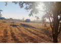 1-acre-plot-for-sale-in-ibex-hill-small-0