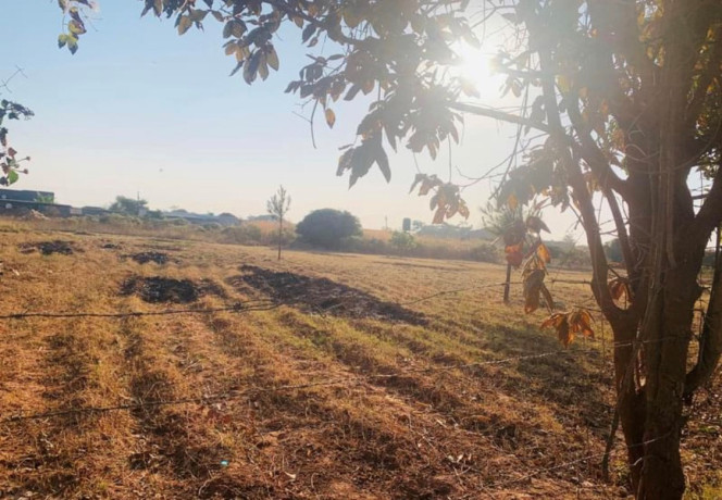 1-acre-plot-for-sale-in-ibex-hill-big-0