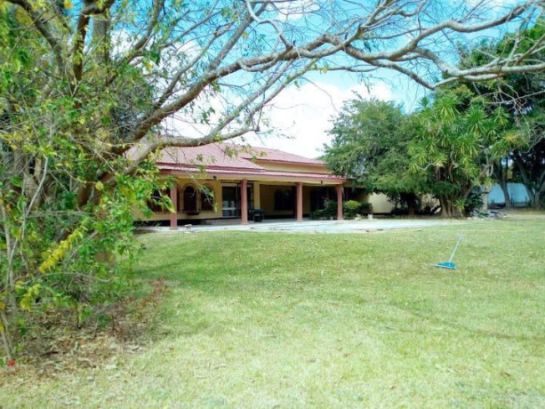 5-bedroom-house-for-rent-ibex-hill-big-1