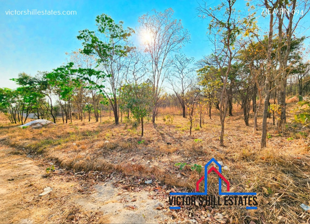 plot-for-sale-in-chifwema-big-1