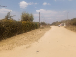 small-holding-for-rent-in-silverest