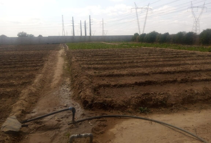 small-holding-for-rent-in-silverest-big-7