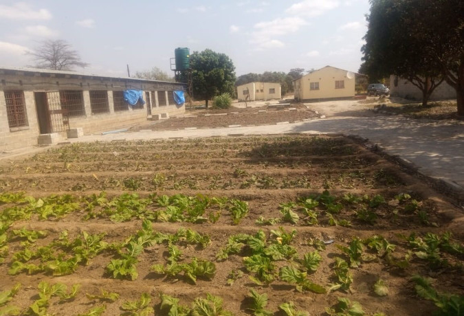 small-holding-for-rent-in-silverest-big-6