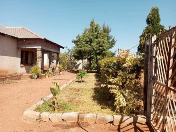 4-bedroom-house-for-sale-in-ibex-meanwood-big-9