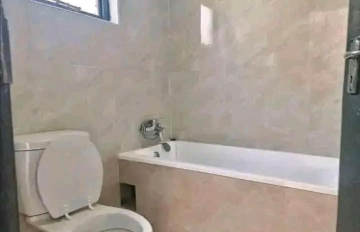 bedsitter-for-rent-in-lilayi-big-1