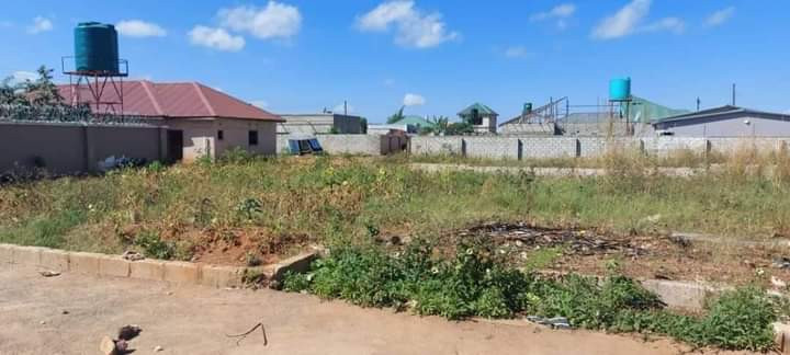20-x-30-plot-for-sale-in-lilayi-big-5