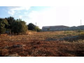 plot-for-sale-in-lilayi-small-0