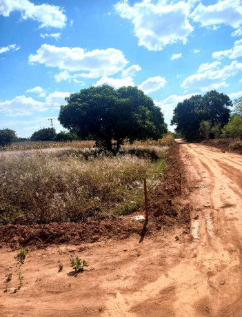 20-x-30-plot-for-sale-in-ibex-hill-big-3