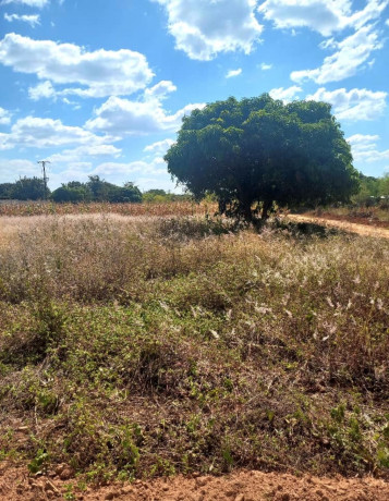 20-x-30-plot-for-sale-in-ibex-hill-big-2