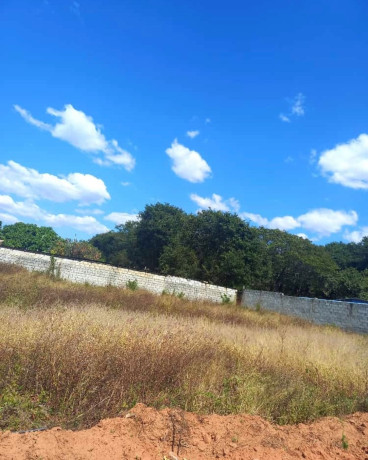 20-x-30-plot-for-sale-in-ibex-hill-big-6