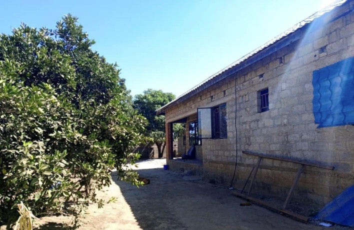 3-bedroom-house-for-sale-in-libala-south-big-2