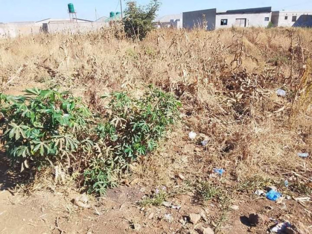 commercial-property-for-sale-in-libala-south-big-2