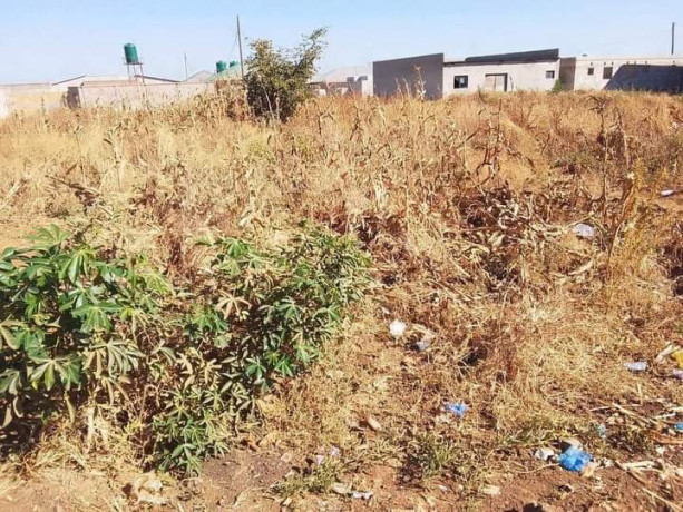 commercial-property-for-sale-in-libala-south-big-0