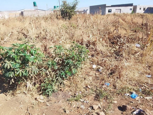 commercial-property-for-sale-in-libala-south-big-1