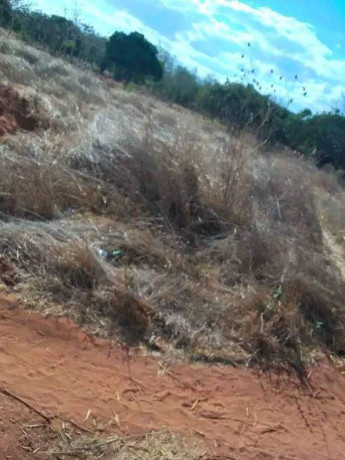 residential-plot-for-sale-in-ibex-big-4