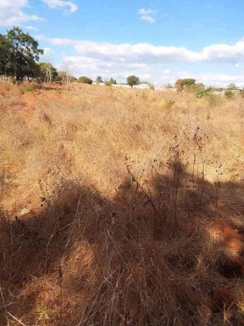 residential-plot-for-sale-in-ibex-big-2