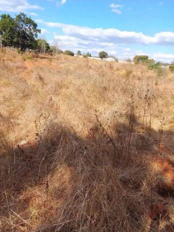 residential-plot-for-sale-in-ibex-big-9