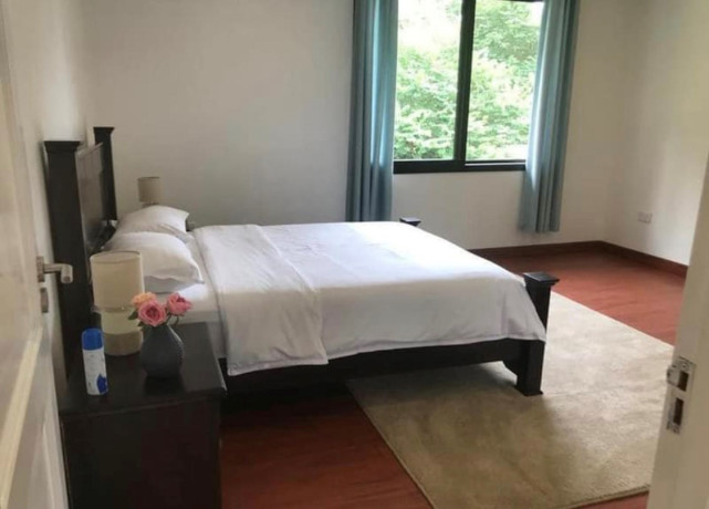 2-bedroom-apartment-for-rent-in-kabulonga-big-3