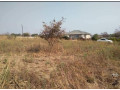 50-by-50-plot-for-sale-in-silverest-small-1