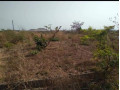 50-by-50-plot-for-sale-in-silverest-small-2