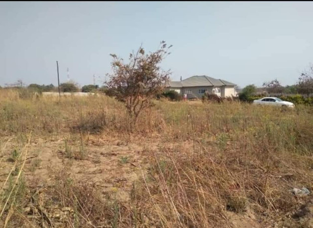 50-by-50-plot-for-sale-in-silverest-big-1
