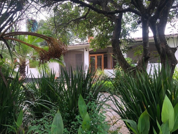 4-bedroom-house-for-rent-in-roma-lusaka-big-0